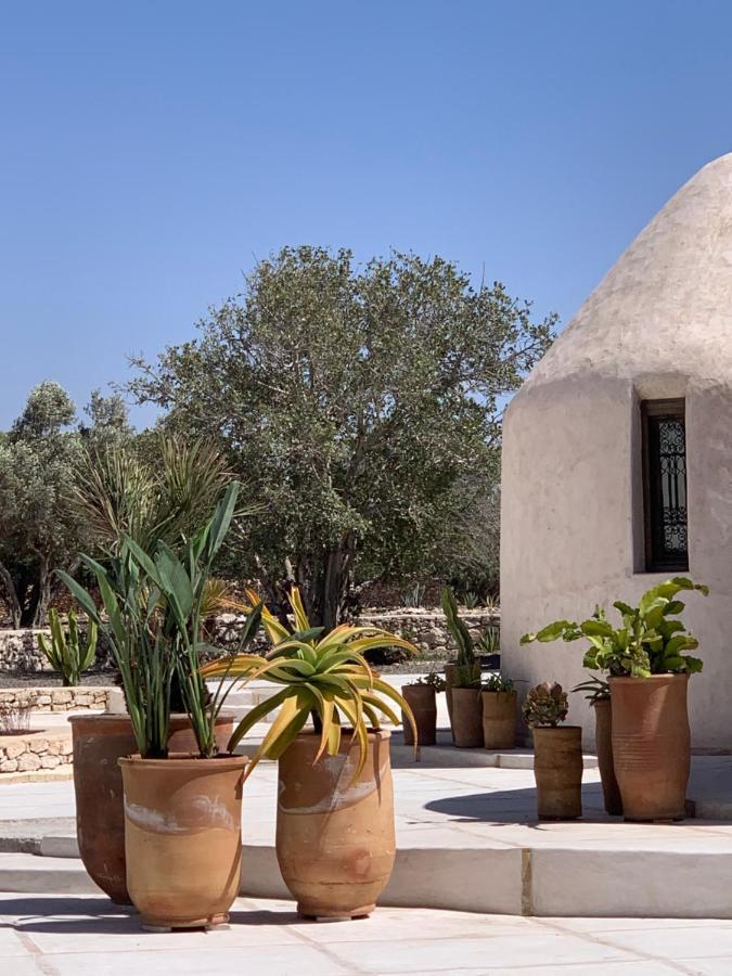 Les Jardins De Villa Maroc Essaouira Eksteriør bilde